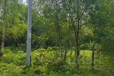 Участок в Новгородская область, Новгородский район, Савинское с/пос, ...