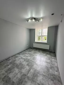 Помещение свободного назначения в Татарстан, Казань Гвардейская ул., ...