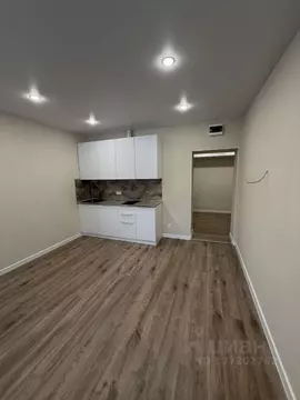 Студия Самарская область, Самара Никитинская ул., 53 (29.2 м)