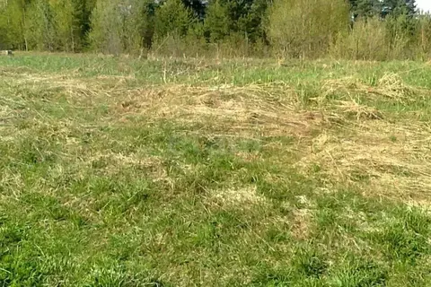 Участок в Курская область, Золотухинский район, Тазовский сельсовет, ...