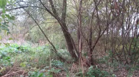 Участок в Московская область, Озеры Коломна городской округ,  (14.99 ...