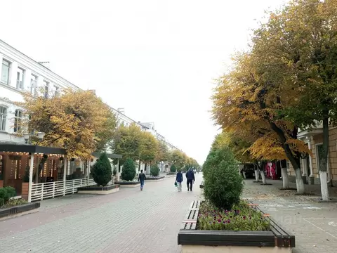 3-к кв. Орловская область, Орел ул. Ленина, 28 (55.3 м)