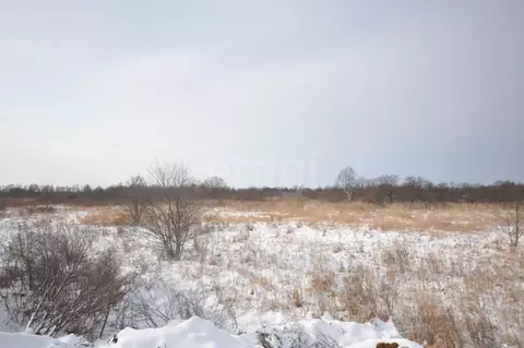 Участок в Сахалинская область, Анивский городской округ, с. Мицулевка  ...