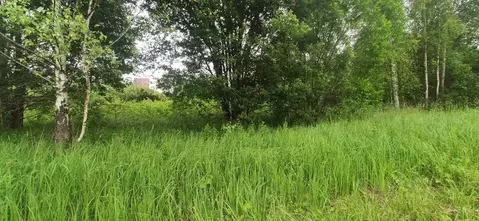 Участок в Московская область, Талдомский городской округ, д. ...