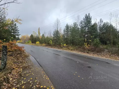 Участок в Воронежская область, Рамонский район, Новоживотинновское ...