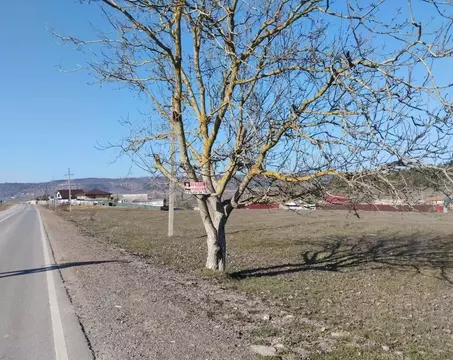 Участок в Крым, Бахчисарайский район, Железнодорожненское с/пос, с. ...