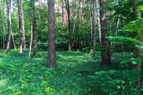 Участок, 19 сот., поселения (ижс)