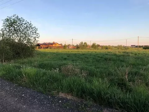 Участок в Новгородская область, Новгородский район, Савинское с/пос, ...