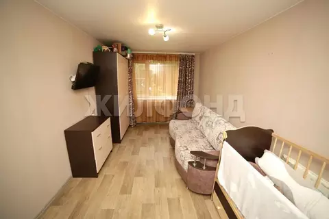 2-к кв. Новосибирская область, Новосибирск ул. Немировича-Данченко, ...