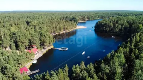 Участок в Ленинградская область, Колтуши Всеволожский район, ул. ...