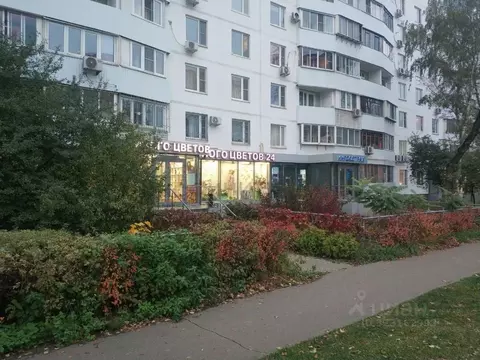 3-к кв. Москва Мичуринский просп., 38 (62.8 м)