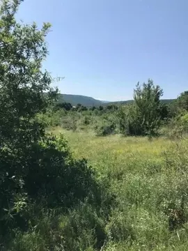 Участок в Крым, Белогорский район, Зуйское с/пос, с. Баланово ул. ...