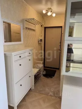 1-к кв. Санкт-Петербург ул. Руставели, 20 (30.5 м)