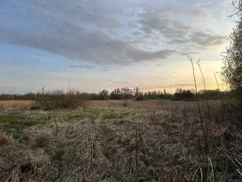 Участок в Калининградская область, Калининград Золотой Петушок ДНТ, ...