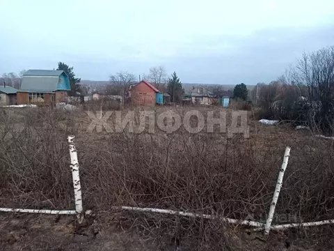 Участок в Новосибирская область, Новосибирский район, Барышевский ...