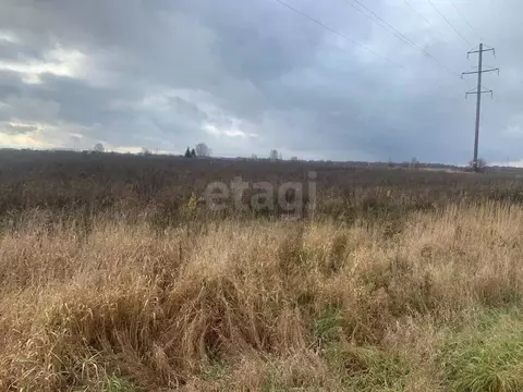 Участок в Костромская область, Костромской район, Шунгенское с/пос, д. ...