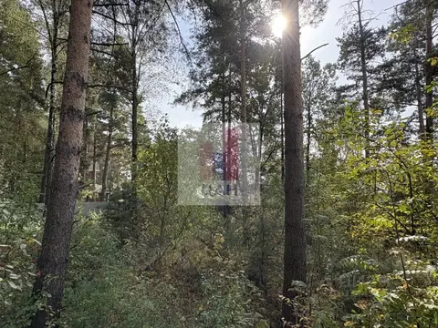 Участок в Московская область, Раменский муниципальный округ, д. ...