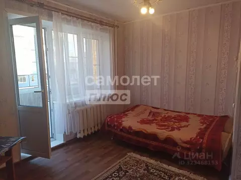 Студия Архангельская область, Коряжма ул. Кирова, 15 (20.4 м)