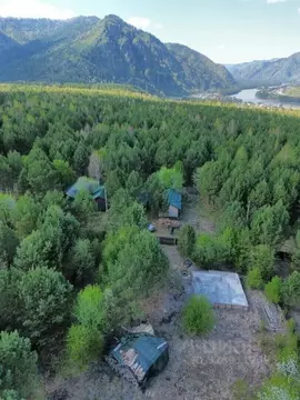 Участок в Алтай, Чемальский район, с. Анос Центральная ул., 41 (12.0 ...