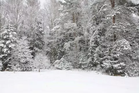 Участок в Московская область, Одинцовский городской округ, пос. ...
