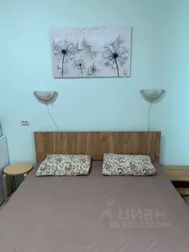 Студия Новосибирская область, Обь Октябрьская ул., 5 (27.0 м)