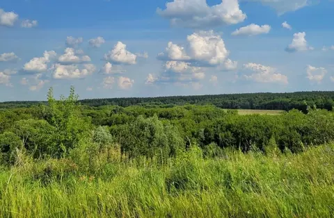 Участок в Татарстан, Высокогорский район, Усадское с/пос, д. Чубарово ...