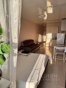 Студия Вологодская область, Вологда ул. Маршала Конева, 26 (31.0 м)