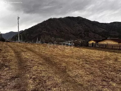 Участок в Чемальский район, село Анос (60 м)