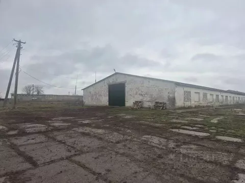 Помещение свободного назначения в Краснодарский край, Северский район, ...