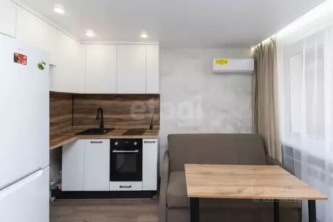 Студия Тюменская область, Тюмень ул. 30 лет Победы, 79 (16.8 м)