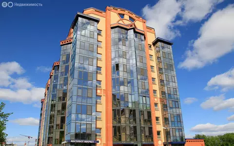 1-комнатная квартира: Тюмень, улица Пржевальского, 33к1 (47.6 м)