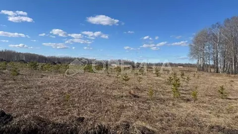 Участок в Тюменская область, Тюменский район, д. Ушакова Зеленая ул. ...