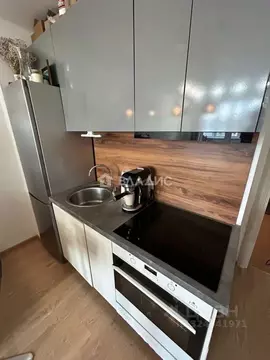 Студия Санкт-Петербург просп. Энергетиков, 11к2 (24.0 м)