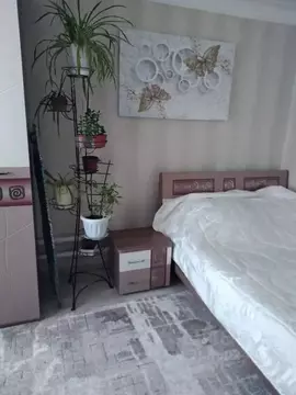 Дом в Алтайский край, Яровое ул. Пушкина, 31 (60 м)