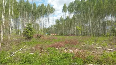 Участок в Владимирская область, Владимир ул. 3-я Сорокинская (9.64 ...