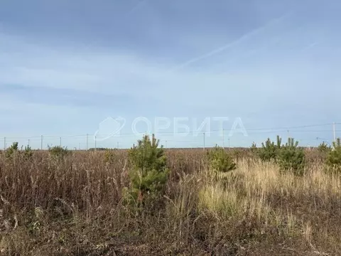 Участок в Тюменская область, Тюменский муниципальный округ, д. ...