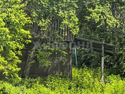 Участок в Амурская область, Благовещенск  (8.0 сот.)