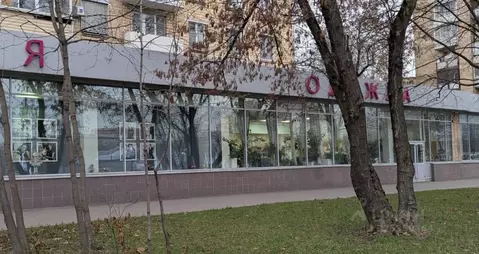 Помещение свободного назначения в Москва просп. Мира, 131К1 (61 м)