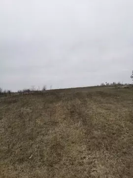 Участок в Воронежская область, Хохольский район, Гремяченское с/пос, ...