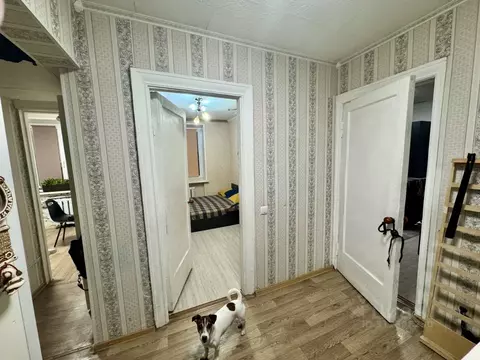 Комната Москва Шелепихинское ш., 7К1