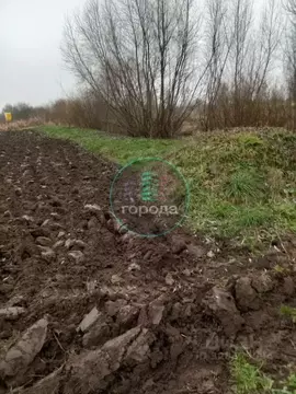 Участок в Московская область, Раменский муниципальный округ, с. ...