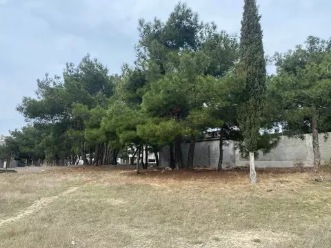 Участок в Севастополь ул. Танкистов, 85 (6.0 сот.)