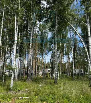 Участок в Свердловская область, Сысертский муниципальный округ, пос. ...