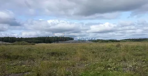 Участок в Нижегородская область, с. Безводное ул. Мирная (10.0 сот.)