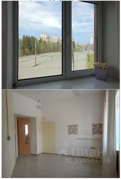 Помещение свободного назначения в Удмуртия, Ижевск Автозаводская ул., ...