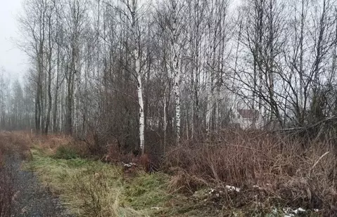 Участок в Московская область, Дмитровский муниципальный округ, д. ...