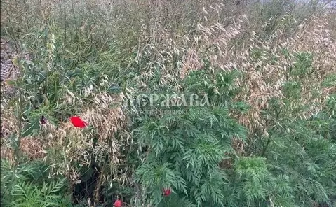 Участок в Белгородская область, Старооскольский городской округ, с. ...