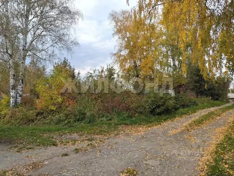 Участок в Новосибирская область, Новосибирск Пищевик СТ,  (7.71 сот.)