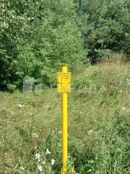 Участок в Алтайский край, Первомайский район, пос. Новый ул. Школьная, ...