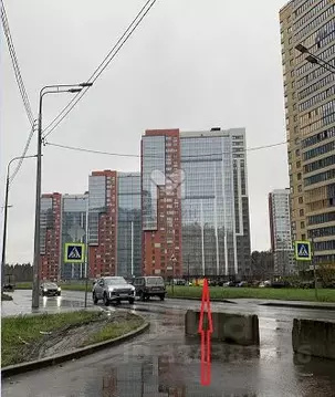 Торговая площадь в Санкт-Петербург пос. Парголово, дор. Ольгинская, ...